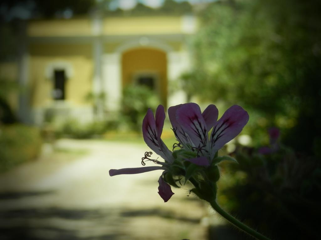 Dimora Relais Excelsa Hotell Gallipoli Eksteriør bilde